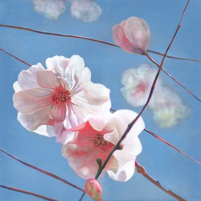 Schitterende Ster, 2015 door Helen White