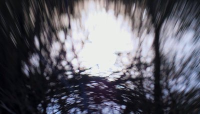 Watertapijt III, 2017 door Helen White