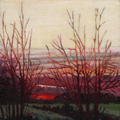 Winterlicht, 2012 door Helen White