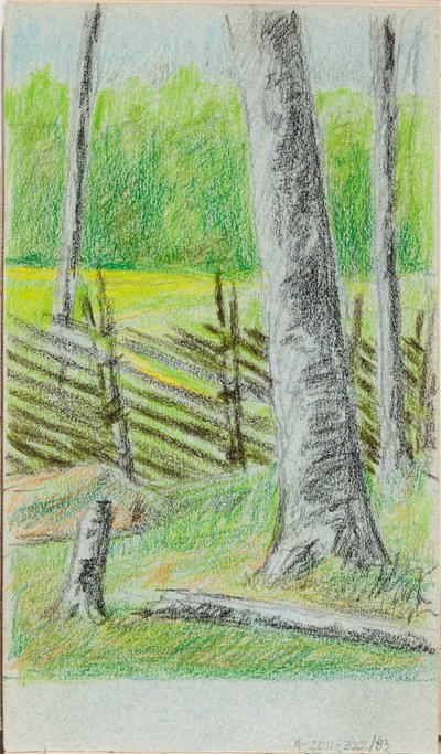 Zonder titel door Helene Schjerfbeck