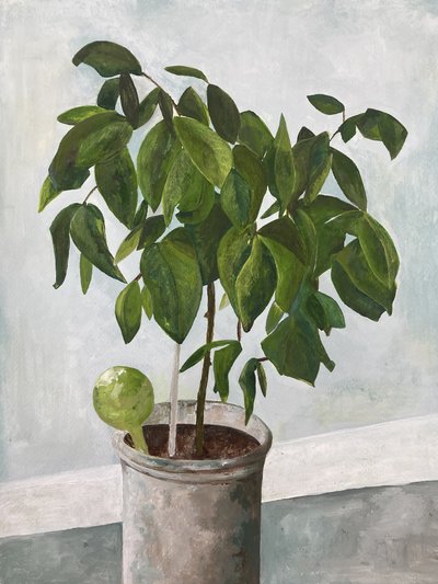 Stilleven met potplant door Heléne Sikdal