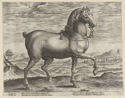 Hengst uit Duitsland door Hendrick Goltzius (possibly)
