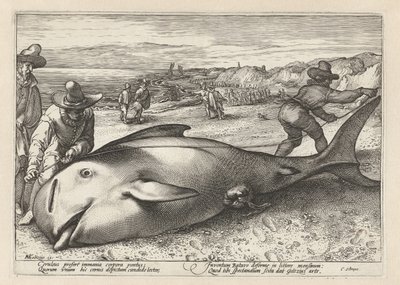 Twee mannen meten een gestrande walvis door Hendrick Goltzius (workshop of)