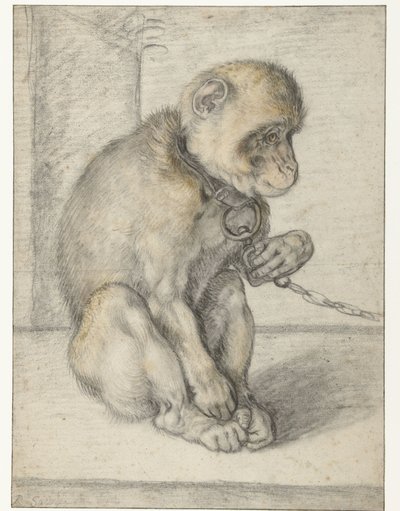 Een zittende aap aan een ketting door Hendrick Goltzius