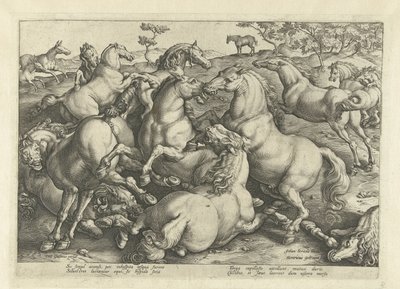 Twaalf vechtende paarden Paardenrassen uit de Koninklijke stallen van Don Juan van Oostenrijk door Hendrick Goltzius