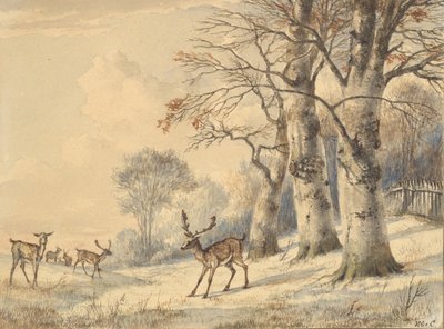 Herten onder beukenbomen in de zomer, 1853 door Hendrik Gerrit ten Cate