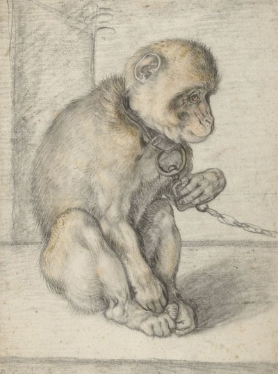 Een zittende aap aan een ketting door Hendrik Goltzius