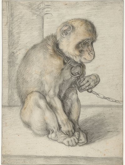Een zittende aap aan een ketting door Hendrik Goltzius