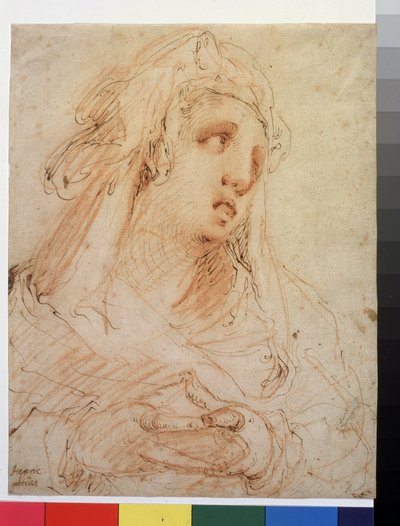  door Hendrik Goltzius