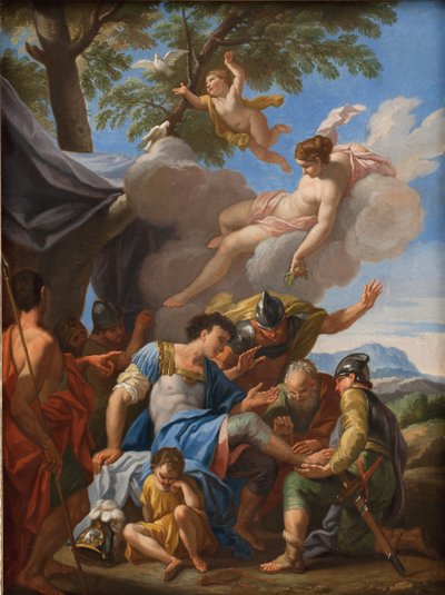 Venus brengt kruiden voor de gewonde Aeneas door Hendrik Krock