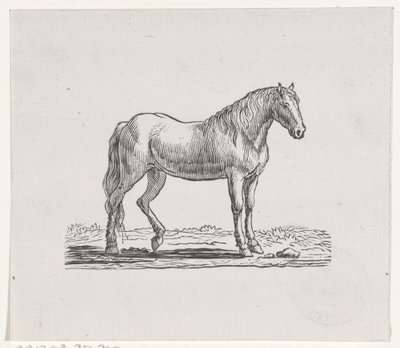Paard door Hendrik Numan