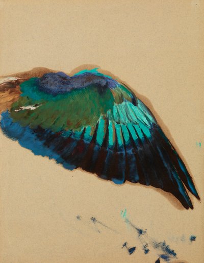 Studie van een vleugel door Henryk Siemiradzki