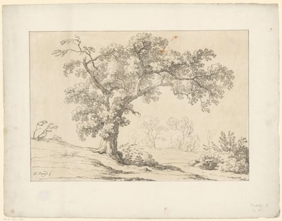 Boom in landschap door Hendrik Voogd