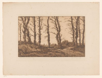 Oud Blaricummerweg door Hendrik Weegewijs (signed by artist)