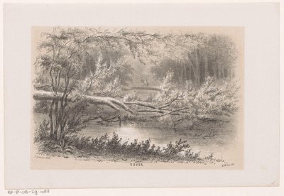 Omgewaaide boom, na de storm van 28 mei 1860 door Hendrik Wilhelmus Last