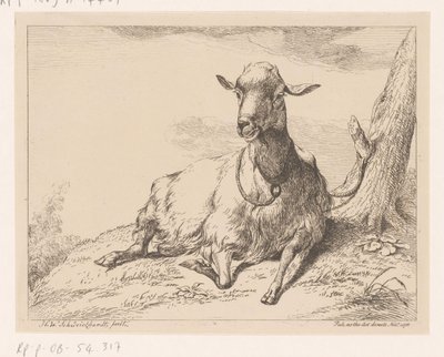 Liggende geit door Hendrik Willem Schweickhardt
