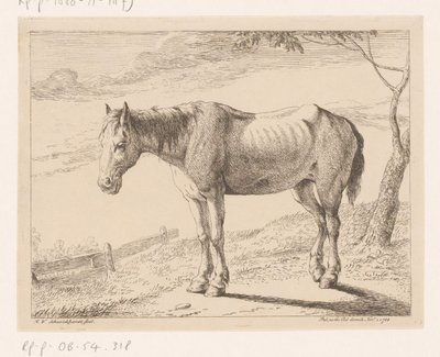 Paard door Hendrik Willem Schweickhardt
