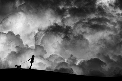 Hondenwandeling onder een stormachtige hemel door Hengki Lee