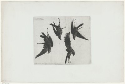 Vier dode kraaien hangend aan een muur door Henri Charles Guérard (signed by artist)