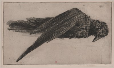 De grote hangende raaf (Le Grand Corbeau Pendu), door Henri Charles Guérard