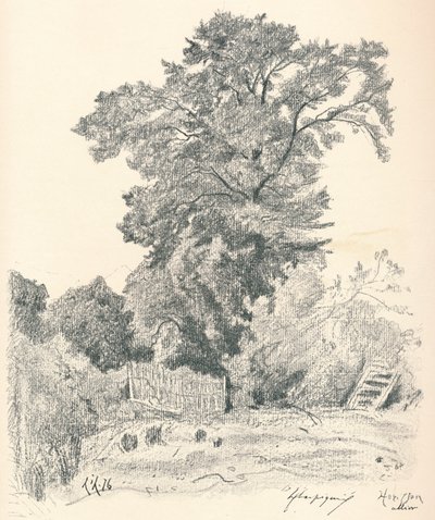 Studie van Bomen, ca. 1839-1898, 1898 door Henri Joseph Harpignies
