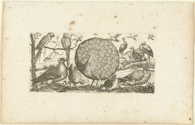 Achttien vogels door Henri Le Roy
