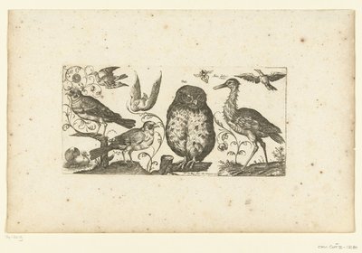Negen vogels en een insect door Henri Le Roy