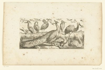 Negentien vogels door Henri Le Roy