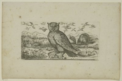 Uil en andere vogels door Henri Le Roy