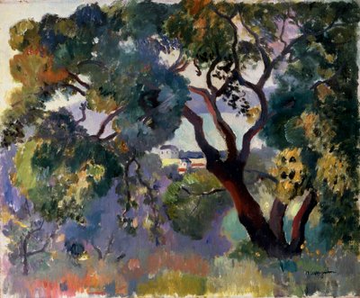 Landschap in Saint-Tropez door Henri Manguin