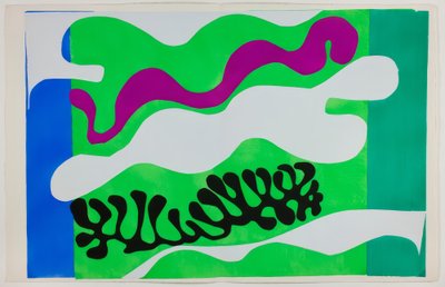 Lagune, van Jazz door Henri Matisse