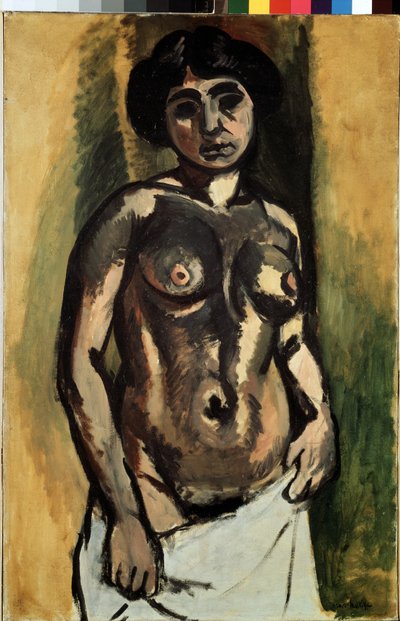  door Henri Matisse