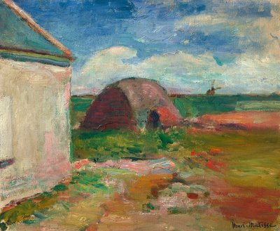 door Henri Matisse
