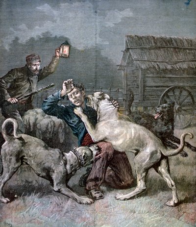 Een crimineel aangevallen door drie grote honden, 1891 door Henri Meyer