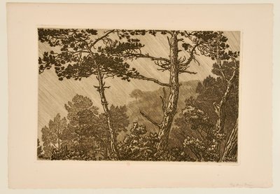 [Bomen in de regenbui] door Henri Rivière