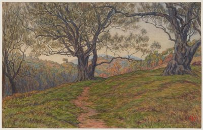 Studie van olijfbomen. Cagnes door Henri Rivière