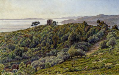 Oude Toren en de Eilanden van Hyeres door Henri Rivière
