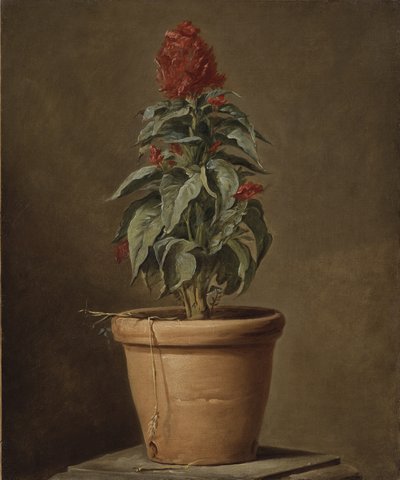Een potplant door Henri Roland de la Porte