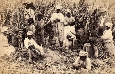 Suikerrietsnijders, Jamaica door Henri S. Duperly