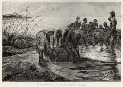 Een nijlpaardslagerij aan de oevers van een Centraal-Afrikaanse rivier. Gravure door Henri Thiriat ter illustratie van het verhaal 