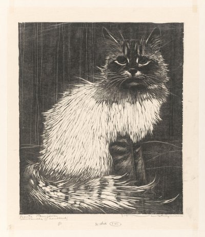 Bonte Angora door Henri Verstijnen (signed by artist)