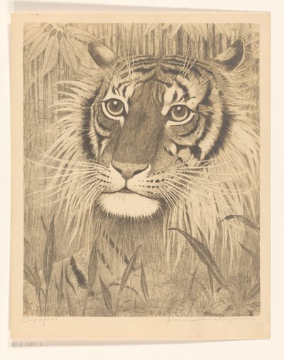 Kop van een tijger door Henri Verstijnen (signed by artist)