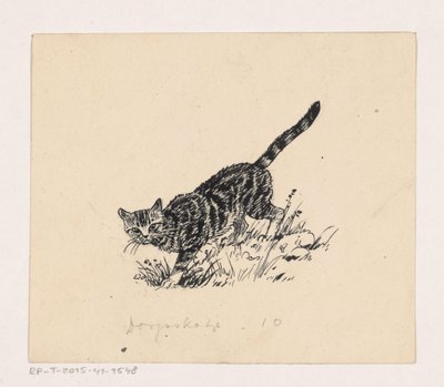 Kat door Henri Verstijnen