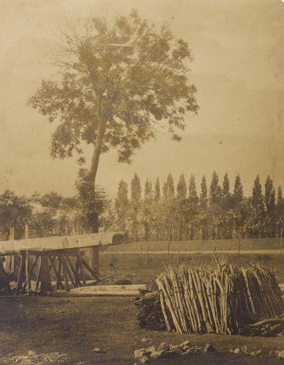 [Landschap met balen afgeknipte boomtakken]. door Henri Victor Regnault