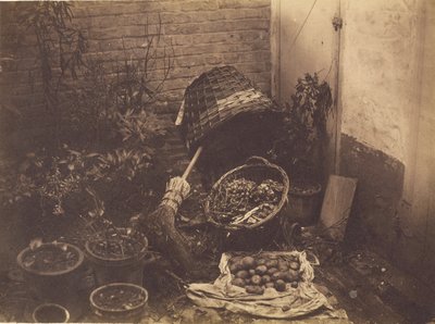 [Stilleven met strooien manden, bezem, geopende zak aardappelen en potplanten]. door Henri Victor Regnault