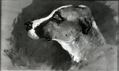 Hoofd van een hond met korte oren door Henri de Toulouse Lautrec