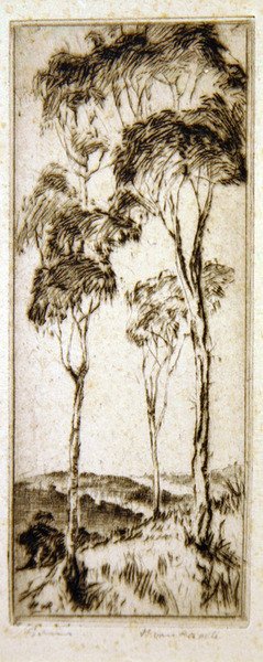 Gomboom door Henri van Raalte