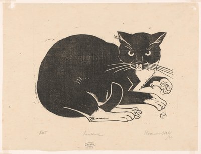 Kat door Henri van der Stok (signed by artist)