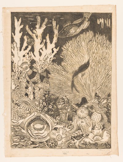 Op de koraalbodem door Henri van der Stok (signed by artist)