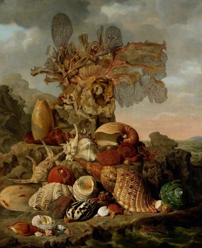 Schelpjes en Zeewieren door Henricus Franciscus Wiertz